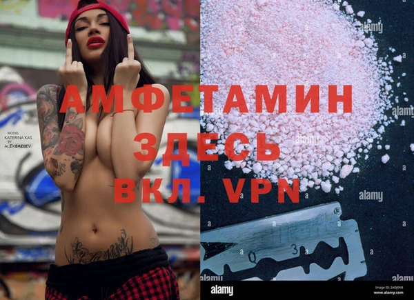 эйфоретик Аркадак