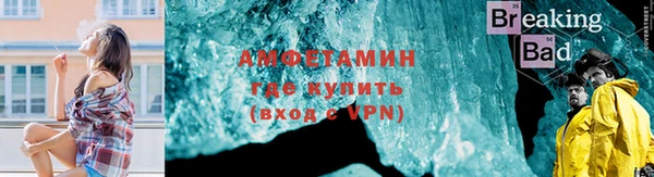 индика Балабаново