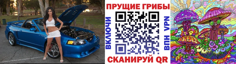 где купить   Зеленодольск  Псилоцибиновые грибы Magic Shrooms 